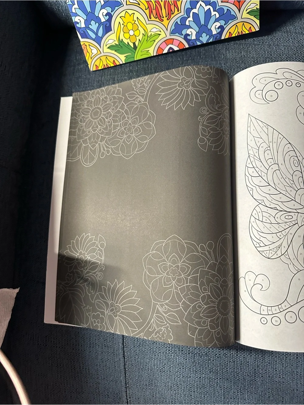Color By Number Set of 2 Adult Coloring Books